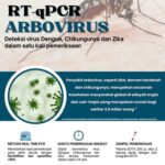 Penyakit Arbovirus: Pengertian Gelaja dan Cara Penanganannya (2024)