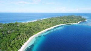 Pulau Moor Halmahera Tengah